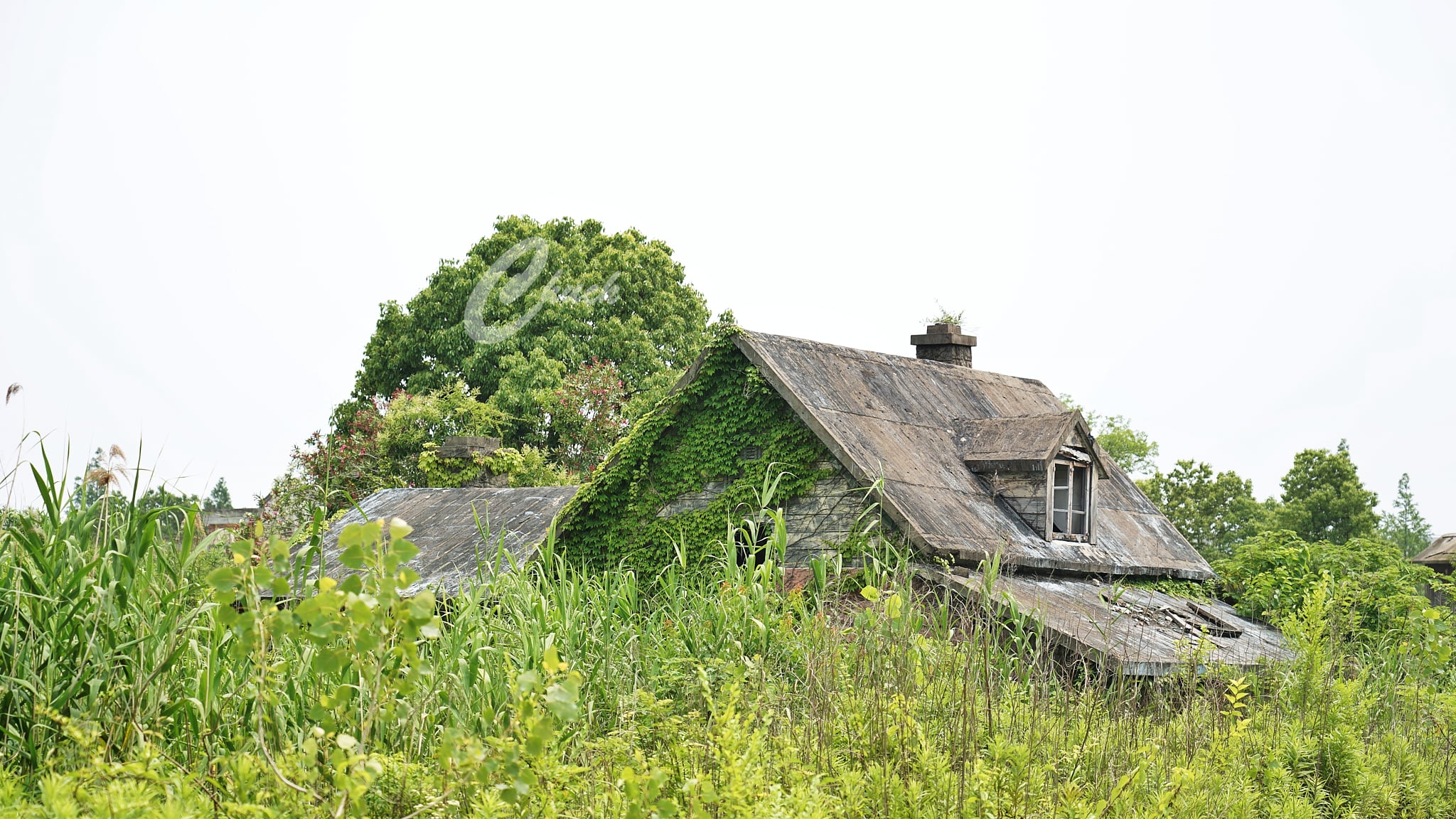 上海市美国梦幻乐园